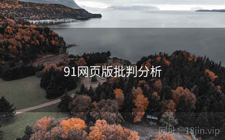 91网页版批判分析 91网页版批判分析