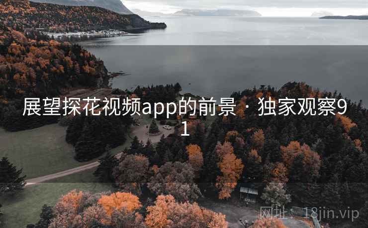展望探花视频app的前景 · 独家观察91 展望探花视频app的前景 · 独家观察91