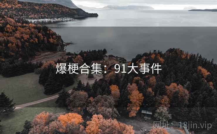 爆梗合集:91大事件 爆梗合集:91大事件