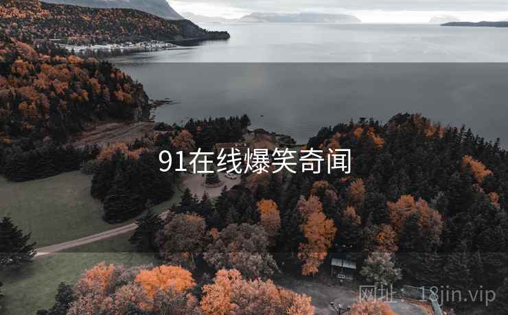 91在线爆笑奇闻 91在线爆笑奇闻