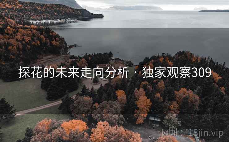 探花的未来走向分析 · 独家观察309 探花的未来走向分析 · 独家观察309