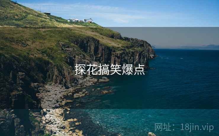 探花搞笑爆点 探花搞笑爆点
