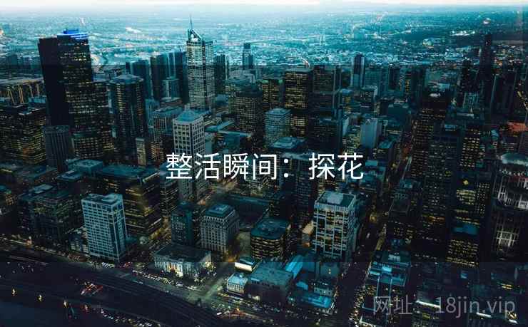 整活瞬间:探花 整活瞬间:探花