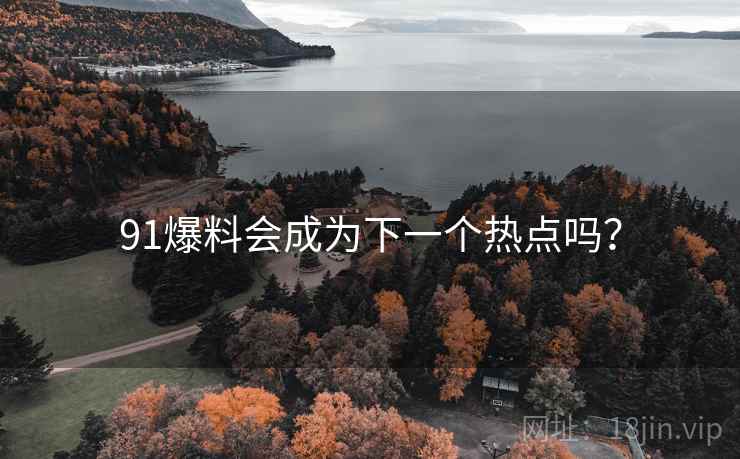 91爆料会成为下一个热点吗? 91爆料会成为下一个热点吗?