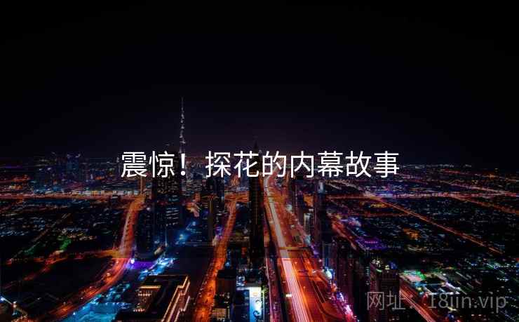 震惊!探花的内幕故事 震惊!探花的内幕故事