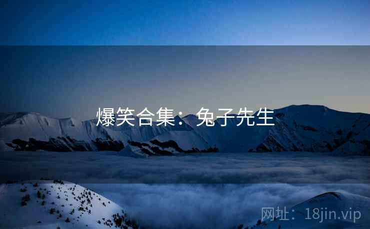 爆笑合集:兔子先生 爆笑合集:兔子先生