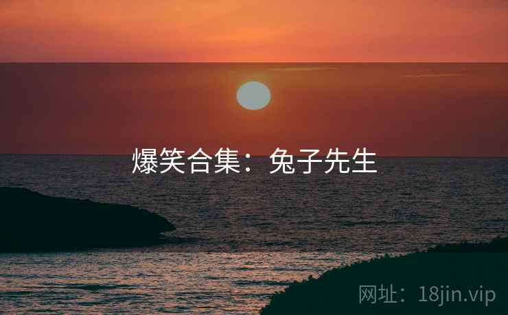 爆笑合集:兔子先生 爆笑合集:兔子先生
