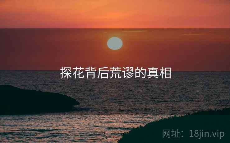 探花背后荒谬的真相