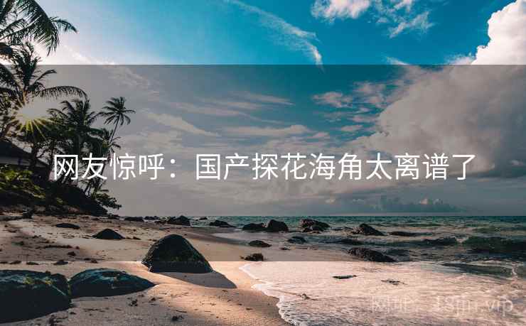 网友惊呼:国产探花海角太离谱了