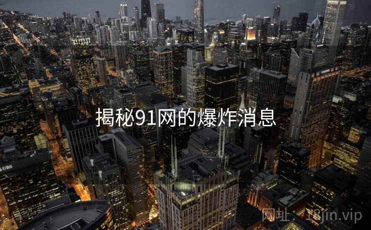 揭秘91网的爆炸消息