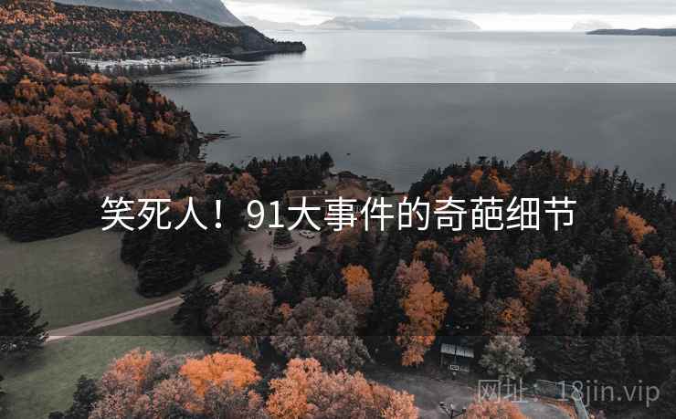 笑死人！91大事件的奇葩细节