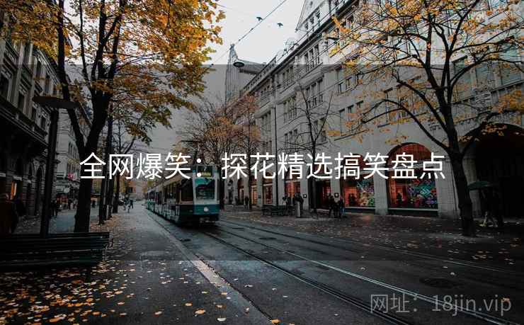 全网爆笑：探花精选搞笑盘点